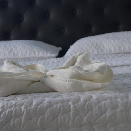 Hostal Magica Noche Filandia Hotel Bagian luar foto